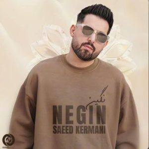 دانلود آهنگ سعید کرمانی نگین