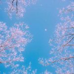 دانلود آهنگ به جز تو نمیدم هیشکیو تو قلبم راه