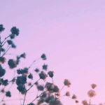 دانلود آهنگ هوا هوا چه خوش هوا یار جان کجایی