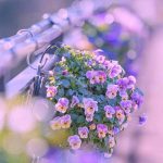 دانلود آهنگ خانمی خاطر خواه داره یه صورت ماه داره