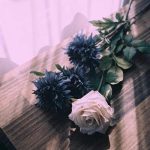 دانلود اهنگ میون این همه خوشگل کیو انتخاب کنم