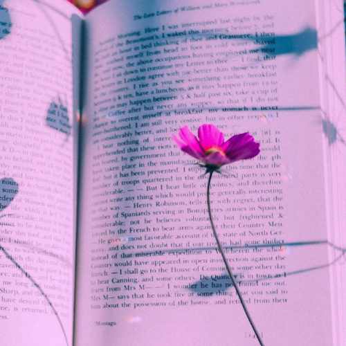 دانلود آهنگ بیکلام معلم ای فروغ جاودانی