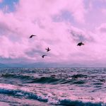 دانلود اهنگ ترکی تراختور گیمیشم قیرمیزی کوینک