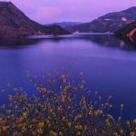 دانلود اهنگ من یک موی تو را به کل عالم ندهم