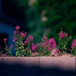 دانلود اهنگ تو دیگه برام بی ارزشی میخوام همه اینو بدونن
