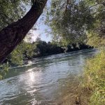 دانلود آهنگ بهنام حسن زاده نزن از خنه بیرون