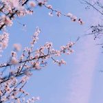دانلود آهنگ ایرج رحمانپور گل سپیده