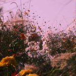 دانلود آهنگ معجزه شرقی منوچهر طاهرزاده
