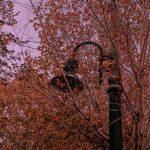 دانلود آهنگ دل تو میتونست بره ولی خب عرضه نداشت