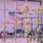 دانلود آهنگ گجلر فیکرینن یاتا بیلمیرم