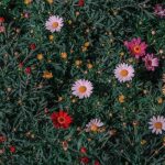 دانلود اهنگ میگم تموم شاعرا برای تو غزل بگن