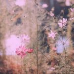 دانلود آهنگ گلپا قصر خدا