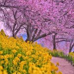 دانلود آهنگ جلال همتی تب عشق