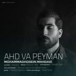 دانلود آهنگ محمد حسین مهدوی عهد و پیمان