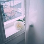 دانلود آهنگ باز منو کاشتی رفتی تنها گذاشتی رفتی