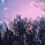 دانلود آهنگ خوشا ای دل بال و پر زدنت