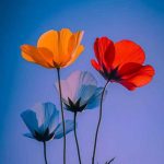 دانلود آهنگ یجوری عاشقم که با تو حاضرم تا خود ماه برم