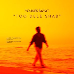 دانلود آهنگ یونس بیات تو دل شب