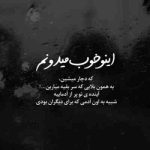 دانلود ریمیکس هرشب کنارت حالم یه جوریه دست خودمم دیگه نیست (هوش مصنوعی)