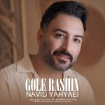 دانلود آهنگ نوید یحیایی گل راشین