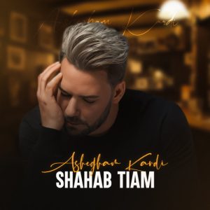 دانلود آهنگ شهاب تیام عاشقم کردی