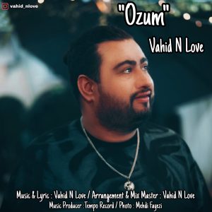 دانلود آهنگ وحید ان لاو اوزوم