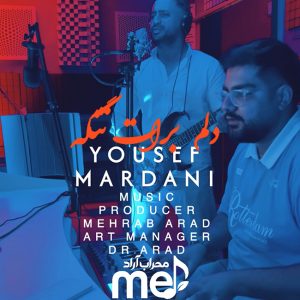 دانلود آهنگ یوسف مردانی دلم برات تنگه
