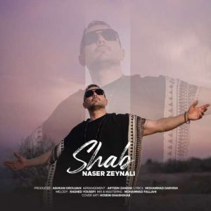 دانلود آهنگ ناصر زینلی شب