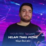 دانلود آهنگ رادوین پیرا دلم تنگ میشه