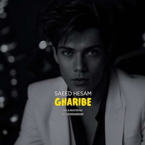 دانلود آهنگ سعید حسام غریبه دانلود آهنگ سعید حسام غریبه