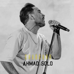 دانلود آهنگ احمد سلو شبگرد