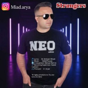 دانلود آهنگ میعاد آریا غریبه ها