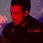 دانلود آهنگ مجید رضوی تولد