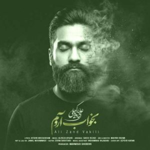 دانلود آهنگ علی زند وکیلی بخواب آروم
