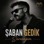 دانلود آهنگ Seveceğim